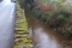 Leat View 6
