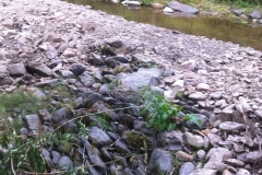 Original weir structure still in place 2014 (1)