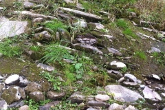 Original weir structure still in place 2014 (2)