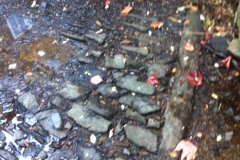Original bed of the leat discovered behind Town Mills 2016 (1)