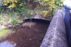 The leat as it exits the rear of Holland House (1)