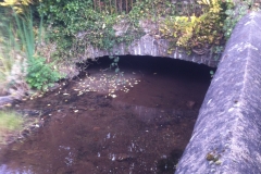 The leat as it exits the rear of Holland House (2)